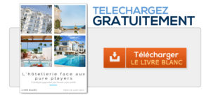 livre blanc hotellerie pure players lamirault