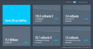 chiffres transactions cartes bleues france